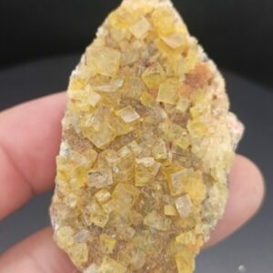 Fluorine - Aouli - Maroc