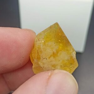Fluorine - Aouli - Maroc