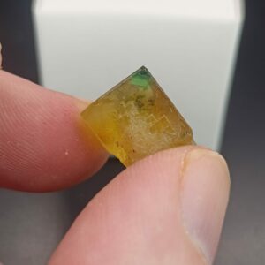 Fluorine - Aouli - Maroc