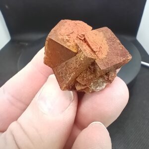 Fluorine - Aouli - Maroc