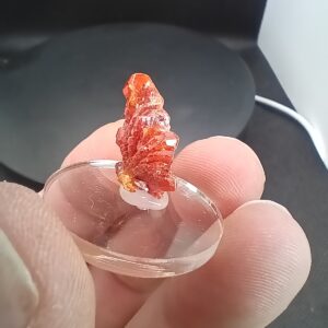Vanadinite - Mibladen - Maroc